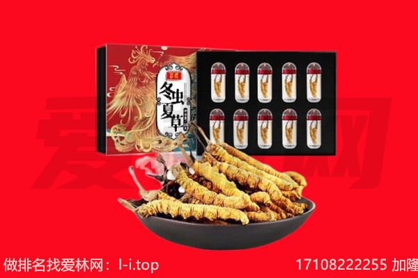 平江县回收虫草.jpg